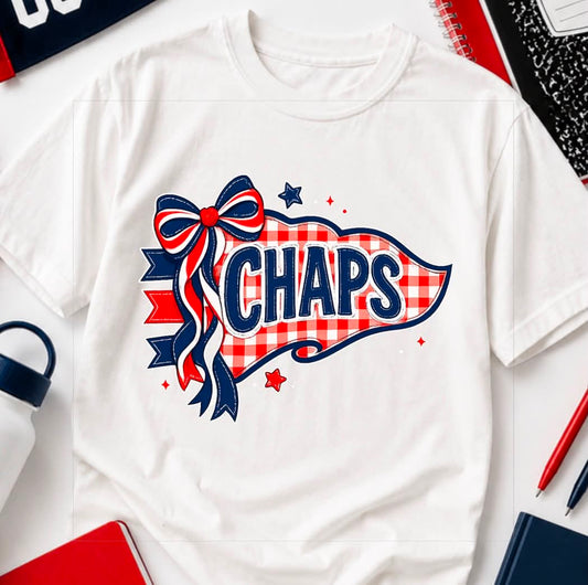 Aubrey Chaps Gingham Flag Design Tshirt